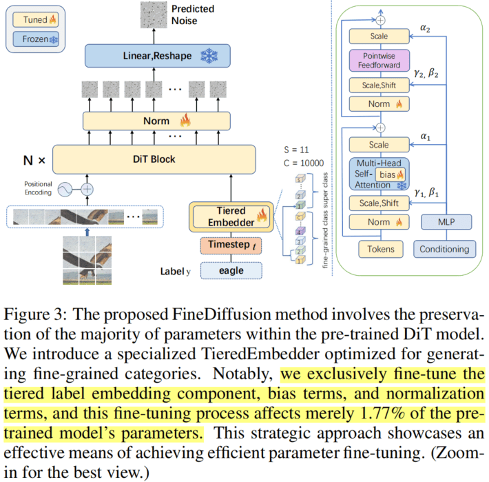 FineDiffusion