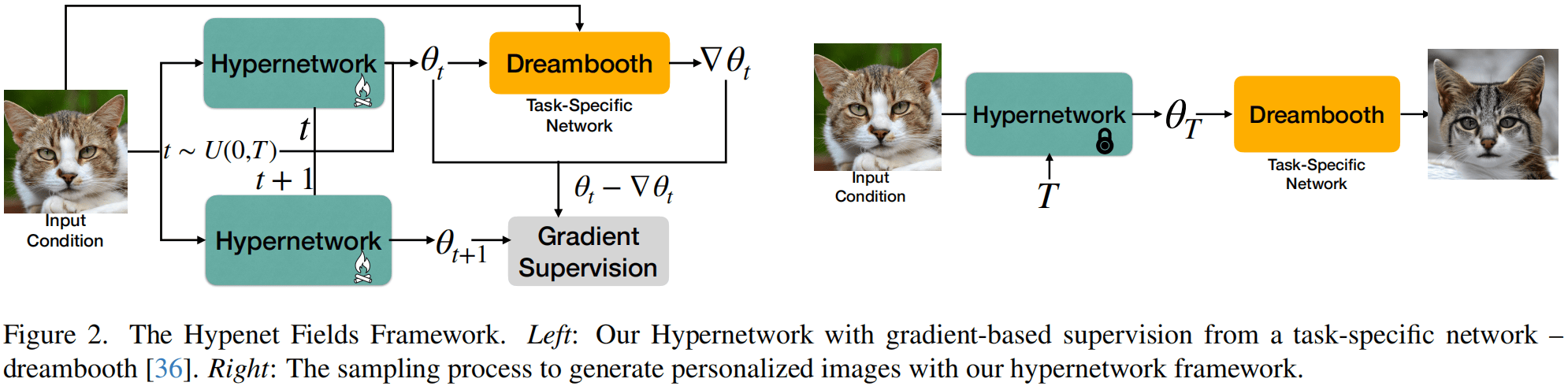 HyperNetFields